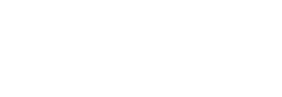 2.5 차원 로고