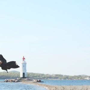 37歳KENNの写真集「Russian Blue」が8月30日より発売　パネル展は9月8日まで イメージ画像