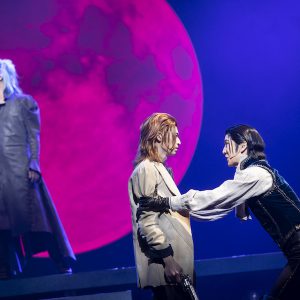 美しき世界観で描かれるプロジェクトの集大成、劇団シャイニング『BLOODY SHADOWS』開幕 イメージ画像