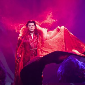 美しき世界観で描かれるプロジェクトの集大成、劇団シャイニング『BLOODY SHADOWS』開幕 イメージ画像