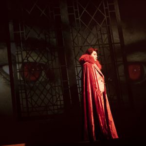 美しき世界観で描かれるプロジェクトの集大成、劇団シャイニング『BLOODY SHADOWS』開幕 イメージ画像